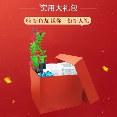 圆柱小鱼缸水族箱家用小型免换水生态H缸超白玻璃办公室桌面鱼缸