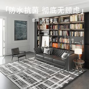 轻奢地毯客厅黑边拼色高级感可擦免洗家用防水书房沙发地垫 法式