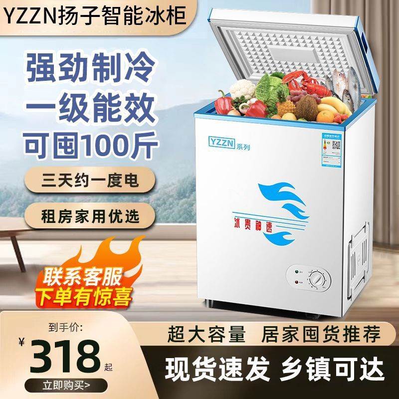 扬子智能冰柜家用小冷柜租房宿舍商用大容量冷冻冷藏节能卧式双门