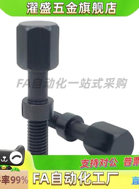 AJSTCM/AJSTCMF 粗牙细牙调整螺栓 六角头尺寸简易型 PAY22/PAY32