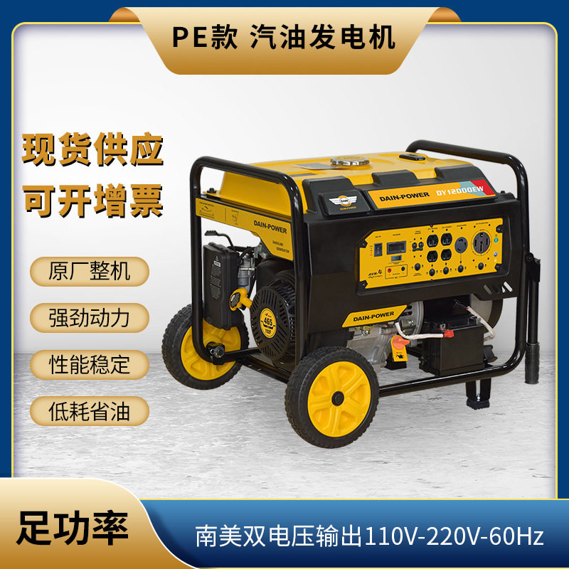 南美110V/220V汽油发电机组