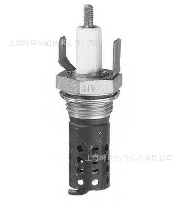 德国贝鲁电极beru-gh22-0105100012