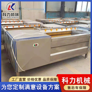东北桔梗毛辊刷去皮清洗机 生姜红薯快速脱皮机