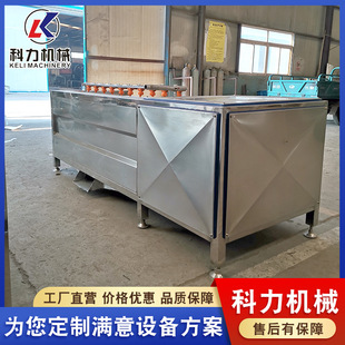 萝卜清洗机 土豆地瓜去皮机 果蔬清洗设备 毛辊刷快速清洗