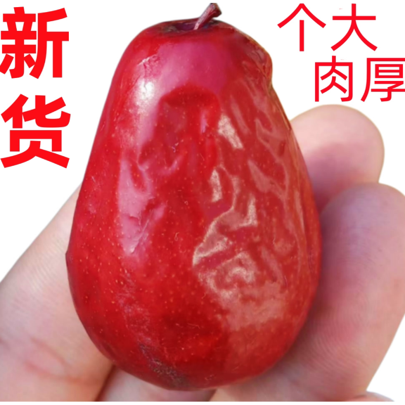 新货正宗新疆和田大枣生吃煲汤特大干枣特级骏枣大红枣批发价整箱