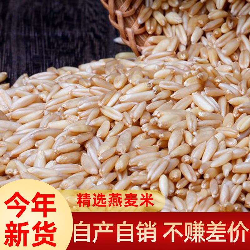 燕麦米今年新米农家红糙米大米稻米胚芽大米五谷杂粮粗粮麦香浓郁