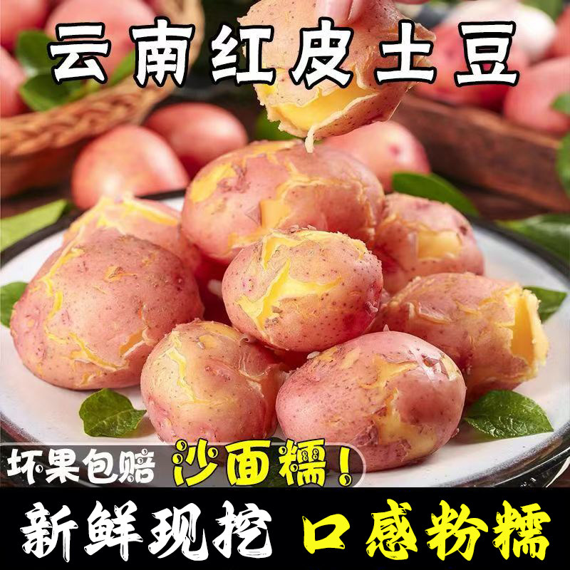2026现挖云南高山红皮黄心土豆