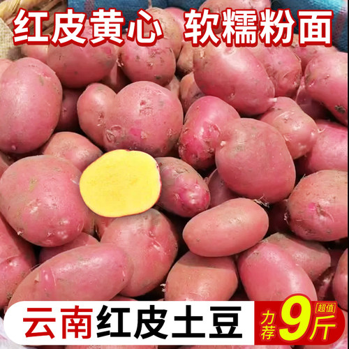 新鲜云南红皮土豆力荐9斤包邮