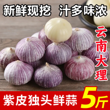 2025精选新鲜独头蒜紫皮蒜独蒜香头大头新鲜蒜蒜正宗整箱干蒜