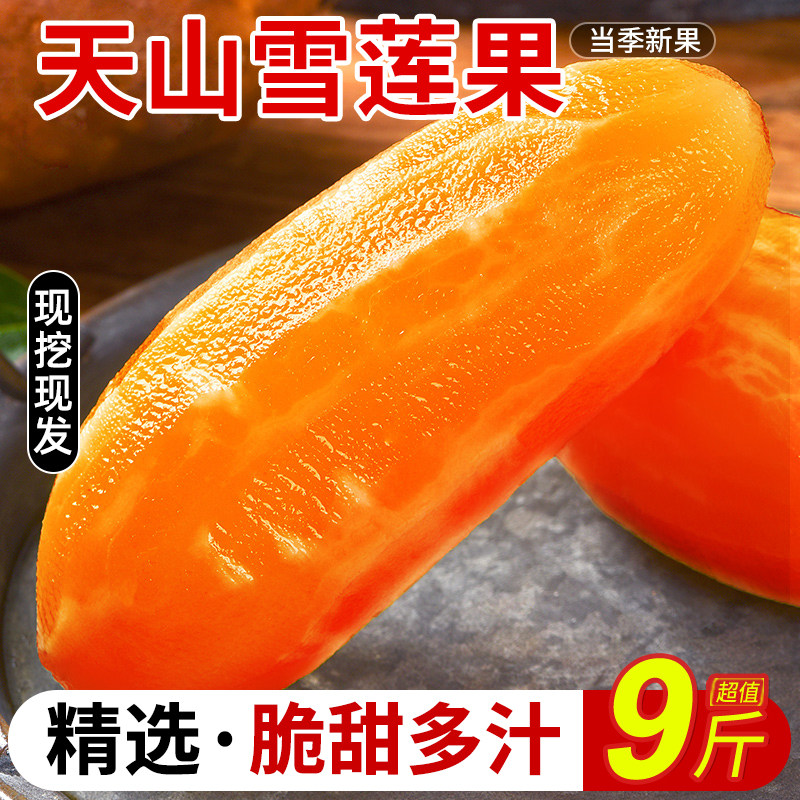 天山雪莲果力荐9斤包邮