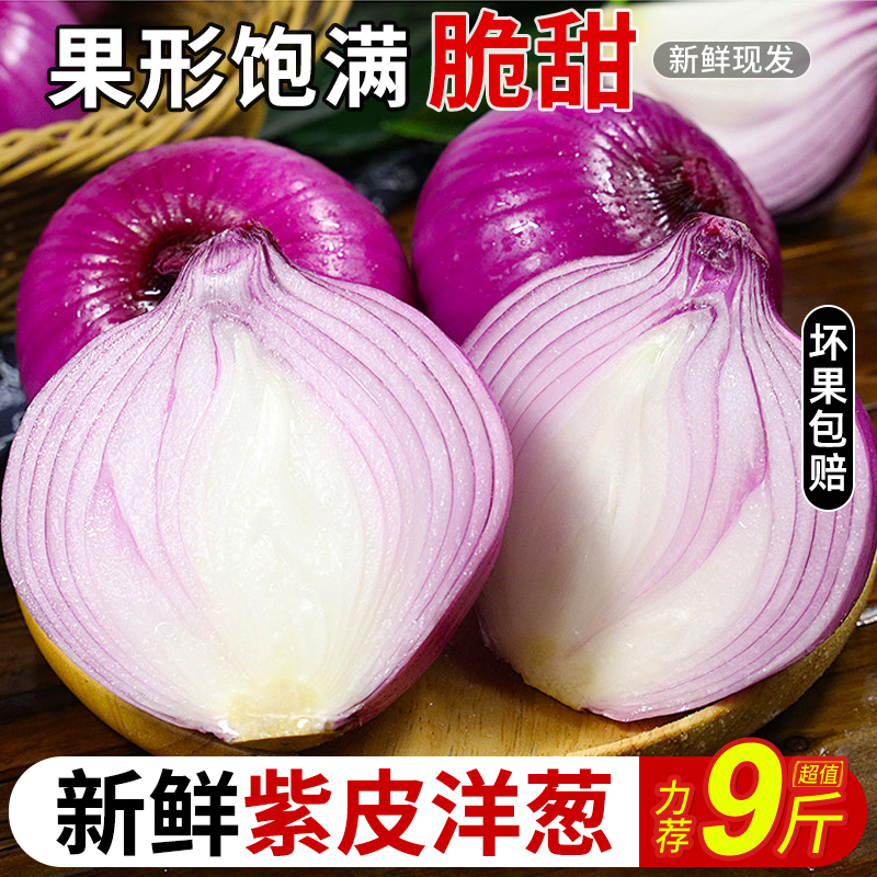 云南水果洋葱力荐9斤包邮