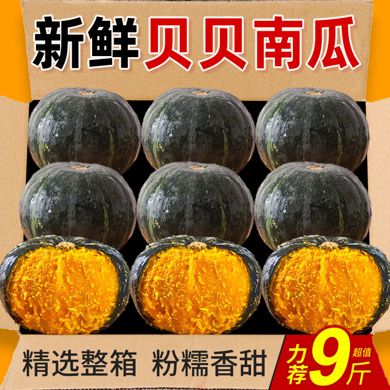山东正宗贝贝南瓜包邮