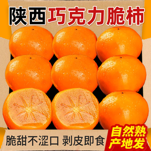 正宗巧克力脆柿子新鲜水果当季冰糖心削皮甜柿无核火晶柿整箱包邮