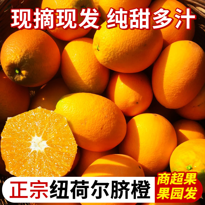正宗纯甜纽荷尔脐橙子