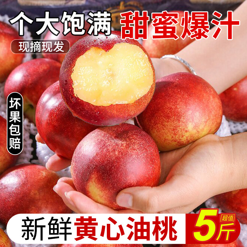 黄心油桃新鲜水果5斤桃子当季整箱包邮孕妇蜜桃时令水果大桃