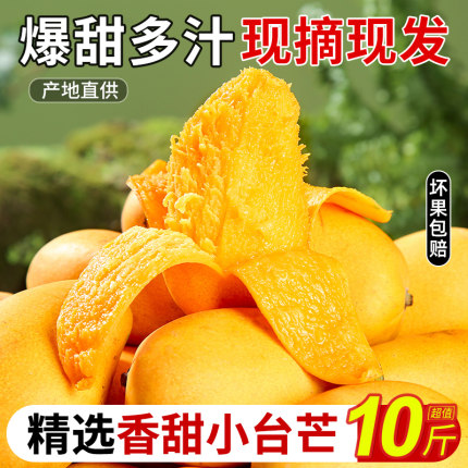 海南小台农芒果新鲜10斤小台芒水果当季整箱红金玉大青煌三亚特产