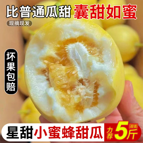 山东头茬现摘星甜20小蜜蜂甜瓜蜜罐甜瓜新鲜水果香瓜蜜瓜
