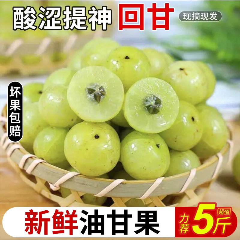 新鲜油甘果潮汕特产现摘现发皮薄多汁油甘油柑余甘果酸水果余甘子