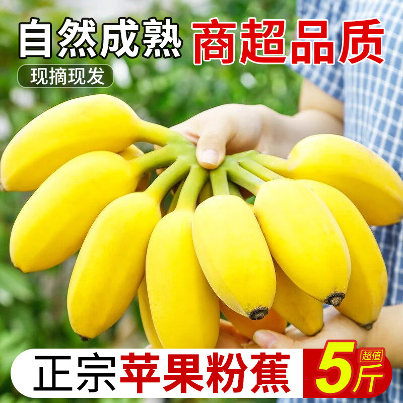 正宗苹果蕉香蕉新鲜自然熟