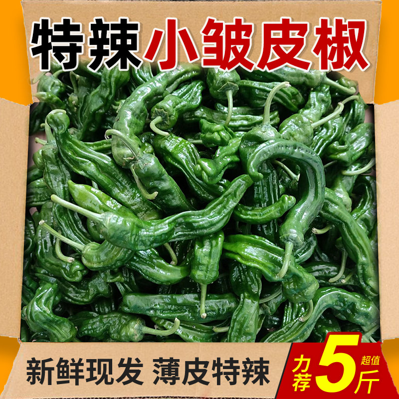 新鲜特辣小皱皮辣椒青辣虎皮椒