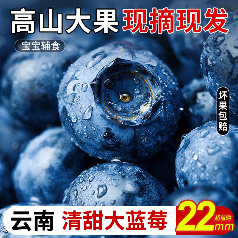 云南蓝莓鲜果特大礼盒当季高山花香新鲜水果孕妇大果怡颗蓝梅整箱