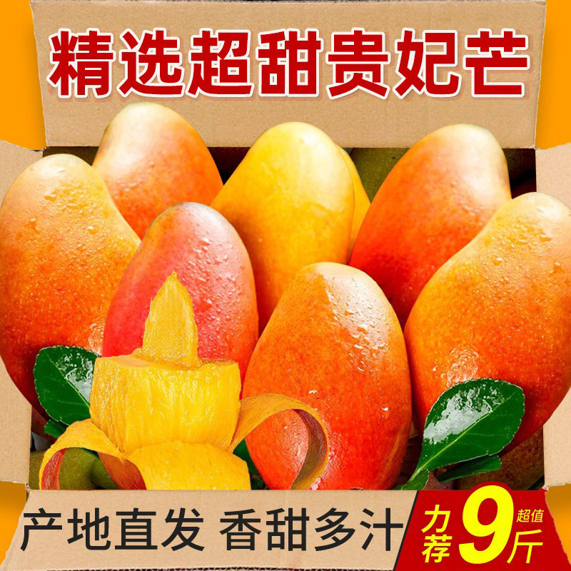 海南贵妃芒新鲜芒果应当季水果树上熟红金玉青辣椒芒现摘大果整箱