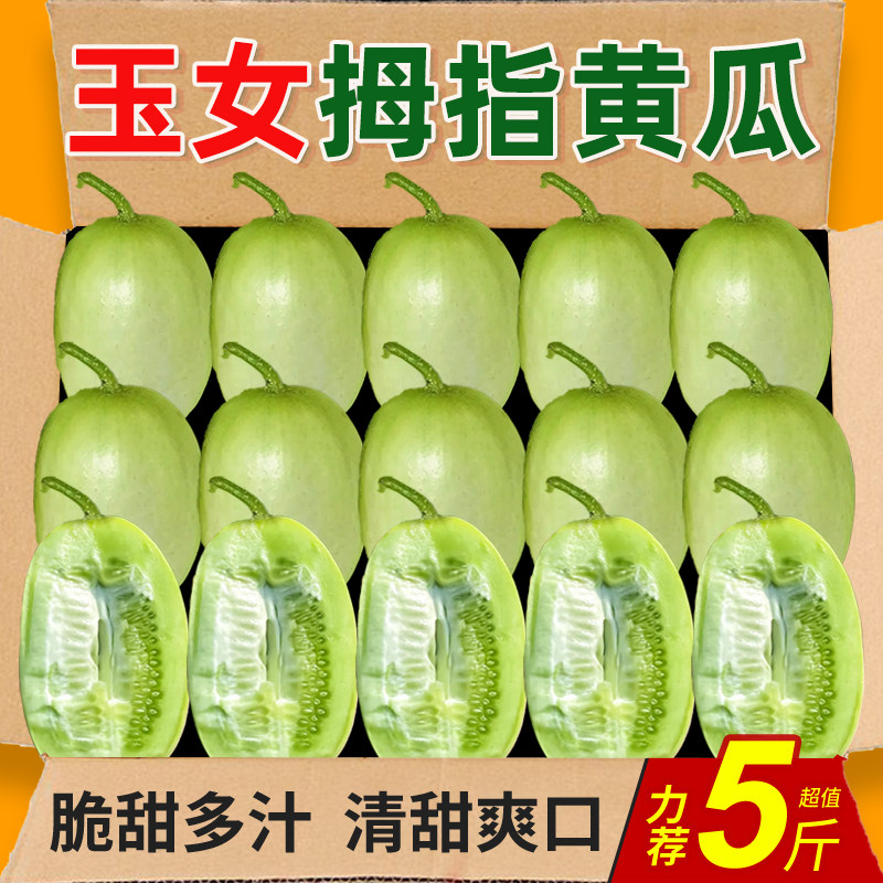 黄瓜新鲜玉女黄瓜水果小黄瓜5斤拇指黄瓜生吃青瓜东北旱白玉蔬菜