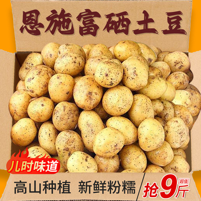 高山恩施小土豆力荐9斤包邮