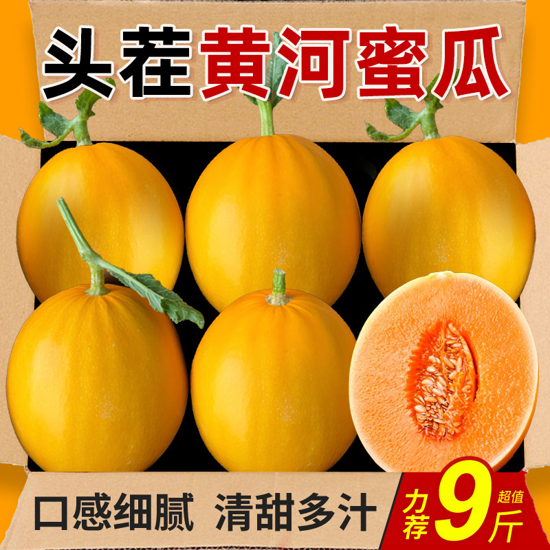 黄金蜜瓜9斤整箱黄金冰糖香瓜