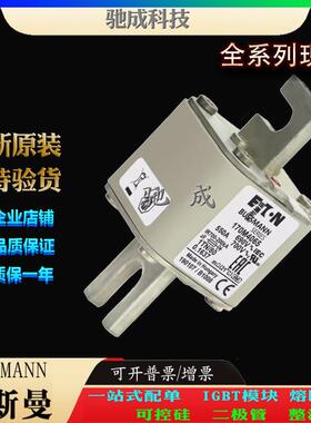 巴斯曼170M4065 170M4066 170M4067 现货供应零售 特种保险丝