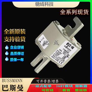 巴斯曼170M4065 170M4066 170M4067 现货供应零售 特种保险丝