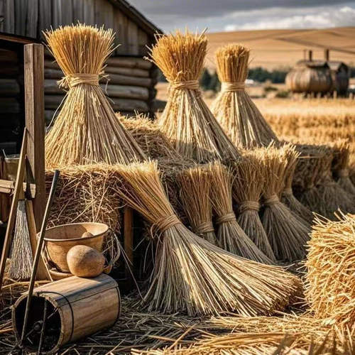 天然干稻草宠物铺垫草手工编织专用材料霉豆腐稻草农家乐装饰稻草