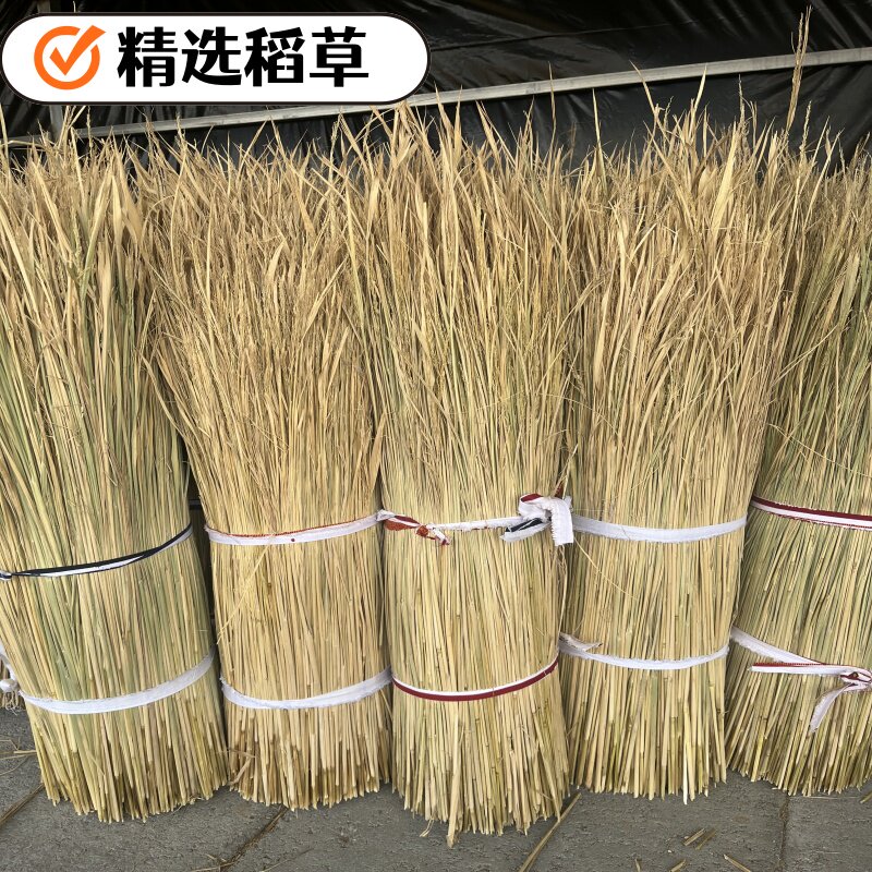 天然干稻草做霉豆腐的稻草屋顶装饰草帘遮阳稻草帘子牛羊草料稻草