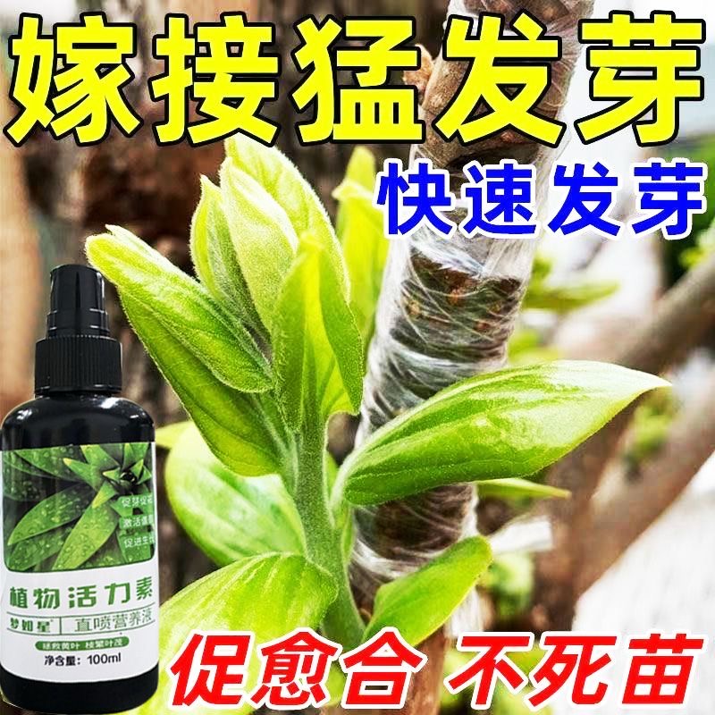 果树嫁接愈合剂促活液树木伤口移植修复嫁接伤口盆栽花卉切口愈合