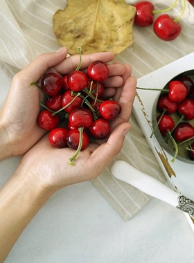 仿真樱桃车厘子假樱桃串水果模型装饰道具摆件玩具蛋糕样板房样品
