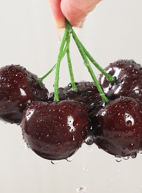 假樱桃模型 仿真车厘子 假樱桃车厘子仿真水果模型