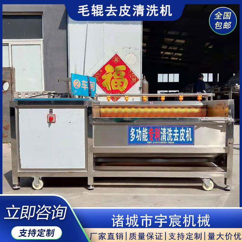 黄岑麦冬毛辊去皮清洗机半夏何首乌马蹄脱皮机猪蹄猪耳朵清洗机