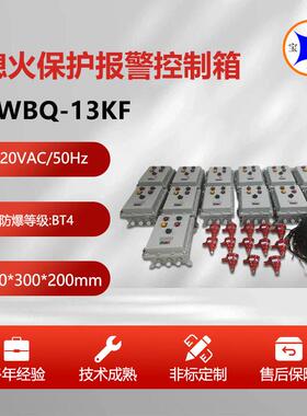 BWBQ-13KF钢厂火焰监测熄火保护装置 烤包器灭火报警系统