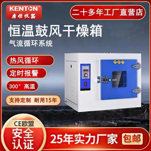 加工高温烤箱 300度600度工业用干燥箱 数显恒温工业烘箱