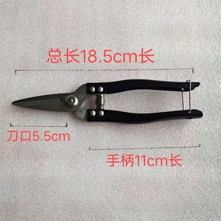 罗定花剪果剪修枝剪园林果剪果树剪刀省力树枝修葡萄剪刀园艺剪刀