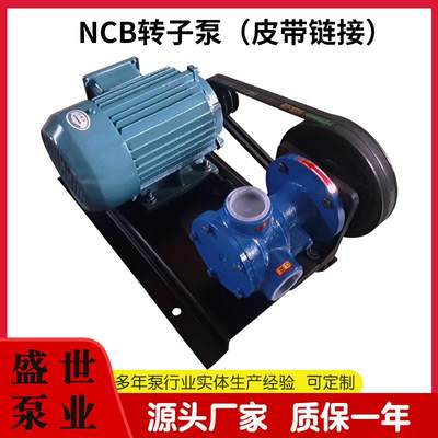 高温油泵NCB3转子泵齿轮泵石蜡泵转子泵抽油泵高粘度油漆泵
