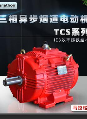电机TCS系列三相异步烟道高温电动机IE3铸铁卧式