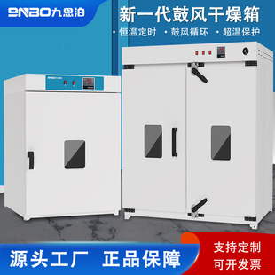 九恩泊电热恒温鼓风干燥箱高温加热大型工业用烤箱医用烘干机实验
