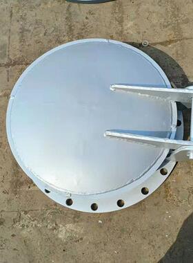 钢制门厂家不锈钢拍侧翻拍门ILCD0N水60防倒灌市政污管道圆形拍门