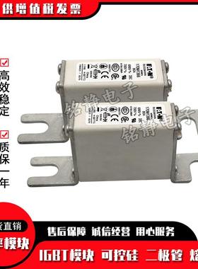 170M363710170M1363M13164170断M1365170M1366巴斯曼熔器现货170M