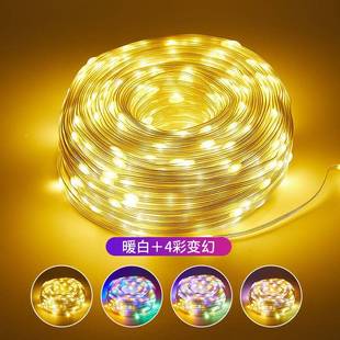 饰灯软灯带彩灯红外伏 31低压LED皮线串灯无极双色GKD户外防遥水装