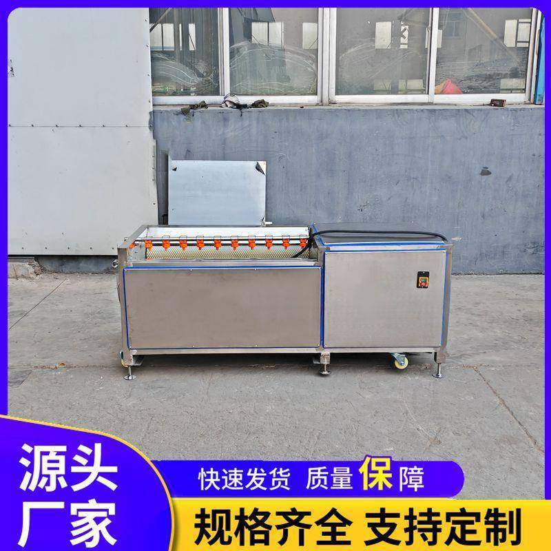 马蹄荸荠茨菇清洗机 洗猪头猪蹄羊头机器 海蛎子扇贝田螺去泥机,清洗/食品/商业设备,果蔬加工设备,淘宝优惠券,粉丝福利购,淘宝优惠卷