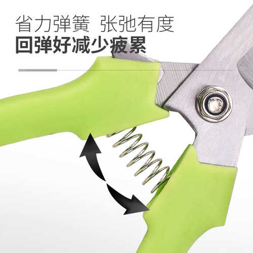 深邦果树修枝剪刀园艺园林修花枝剪家用强力花剪子神器剪枝剪刀
