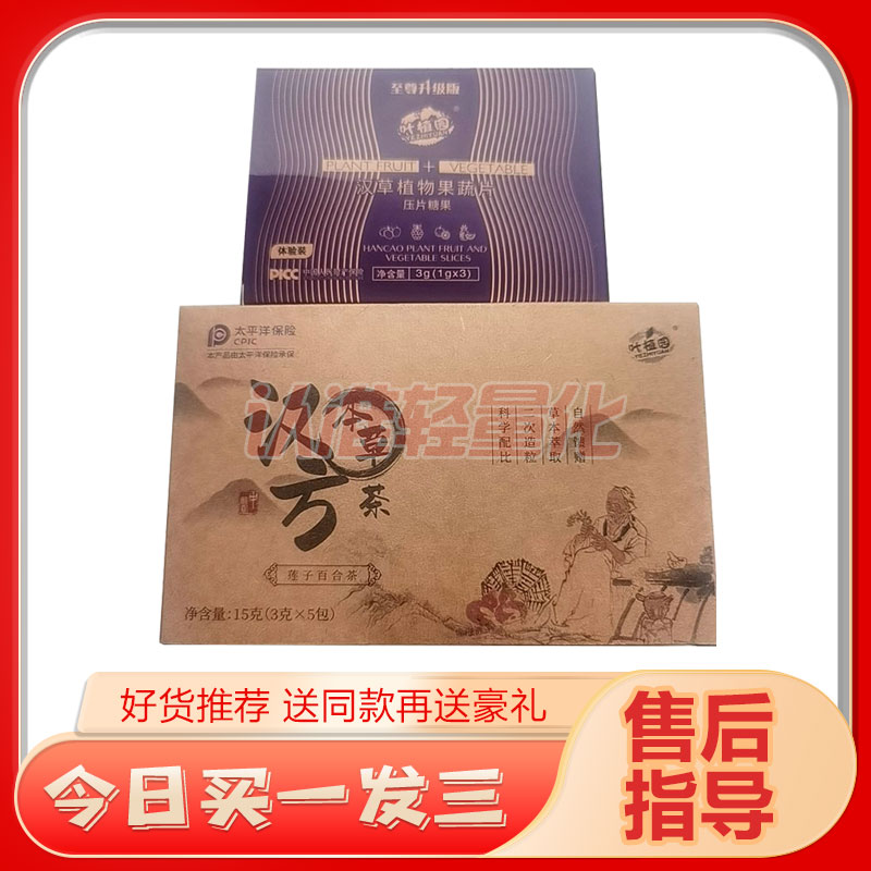 叶植园汉草植物果蔬片压片糖果至尊升级版汉方本草茶