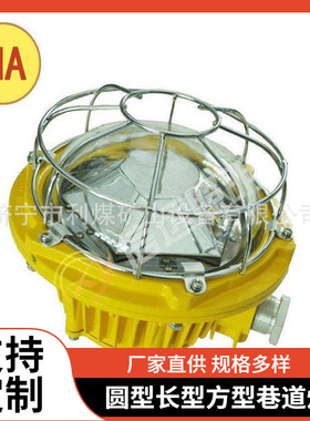 矿用隔爆兼本安型LED巷道灯 DGS36/127L照明灯 防爆灯
